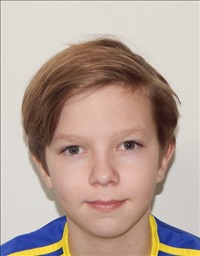 vašulka